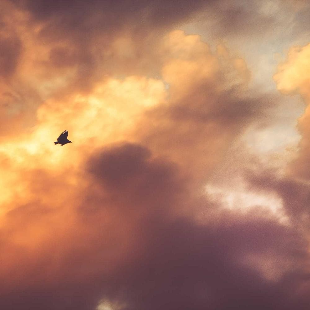 Technology Substrate